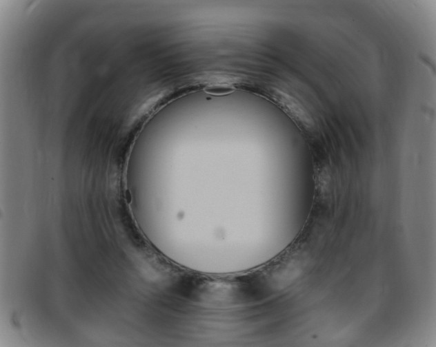 X0000097860352200803140901