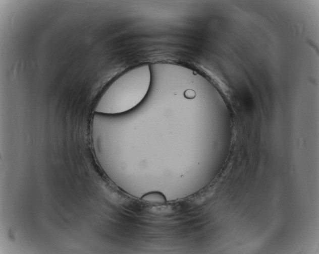 X0000097860353200803140901