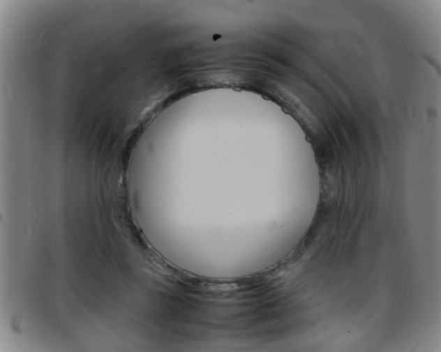 X0000097860355200803140901