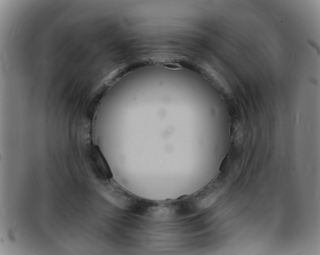 X0000097860356200803140901