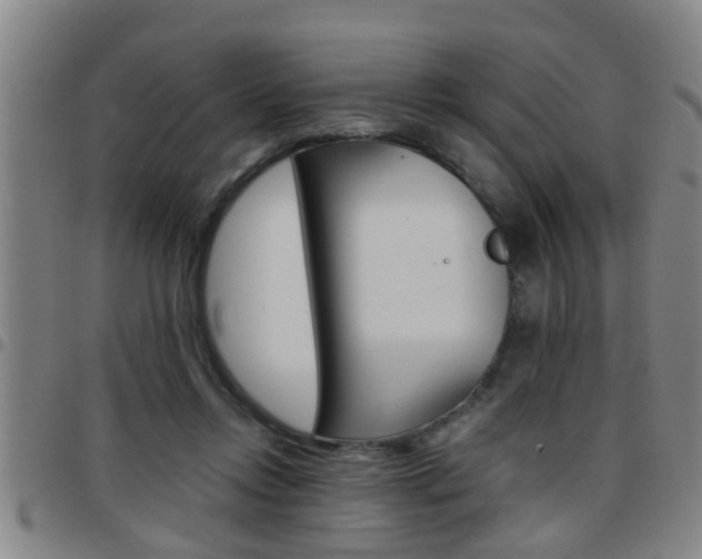 X0000097860358200803140901