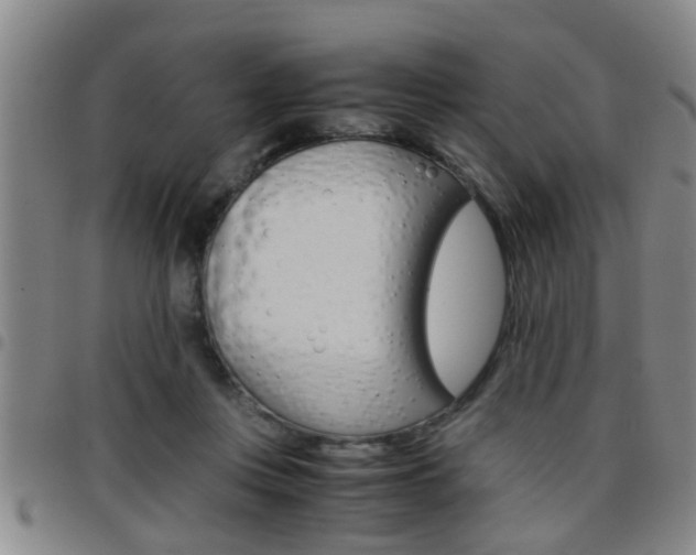 X0000097860359200803140901