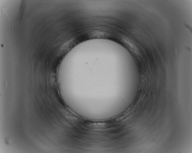 X0000097860361200803140901