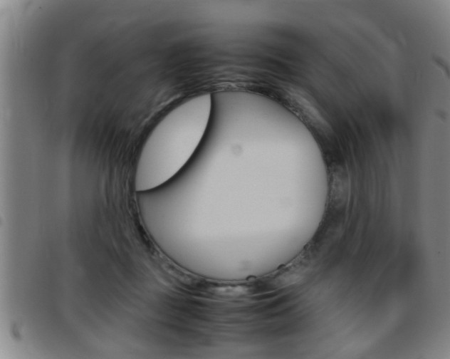 X0000097860363200803140901