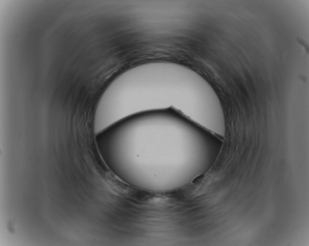 X0000097860364200803140901