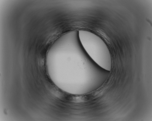 X0000097860365200803140901