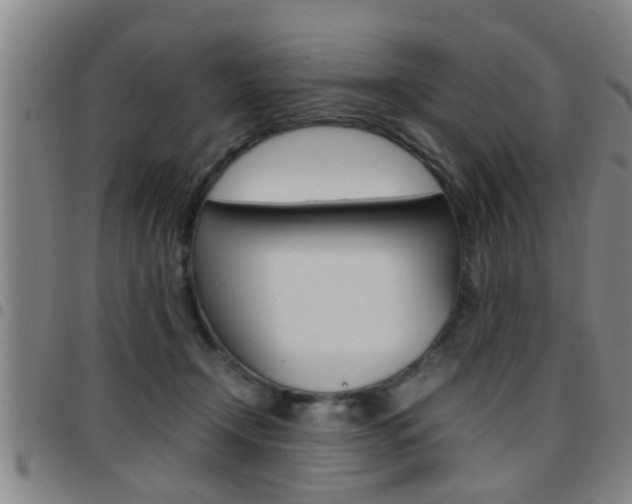 X0000097860366200803140901