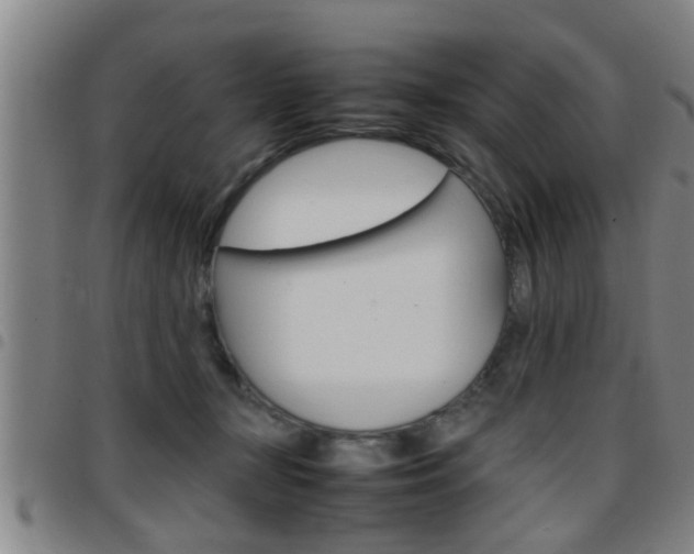 X0000097860367200803140901