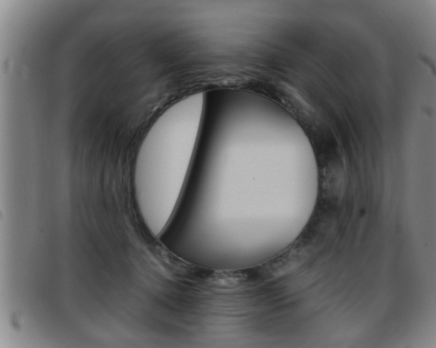 X0000097860368200803140901