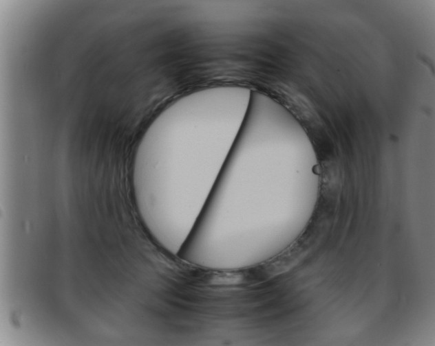 X0000097860369200803140901