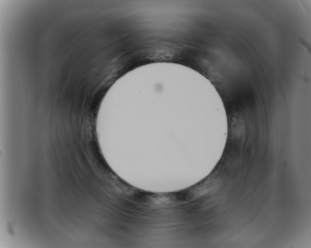 X0000097860370200803140901