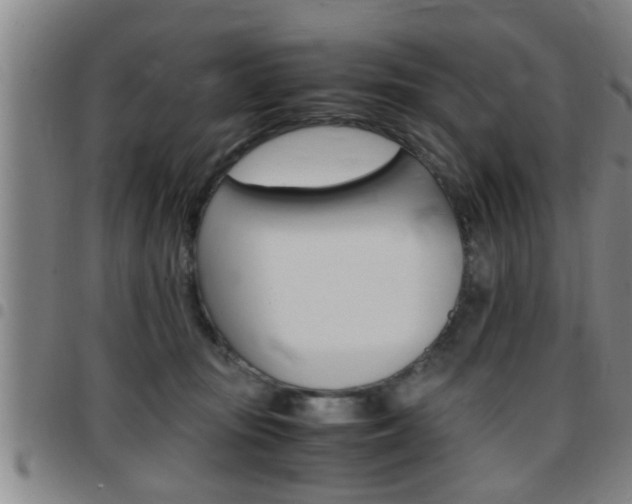 X0000097860371200803140901