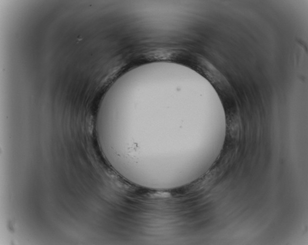 X0000097860374200803140901