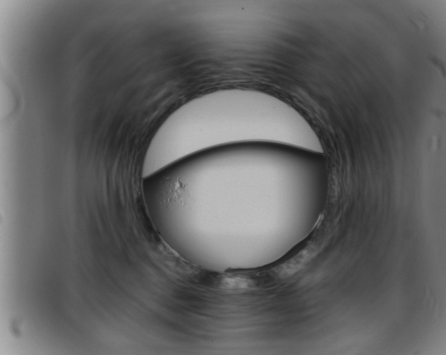 X0000097860376200803140901