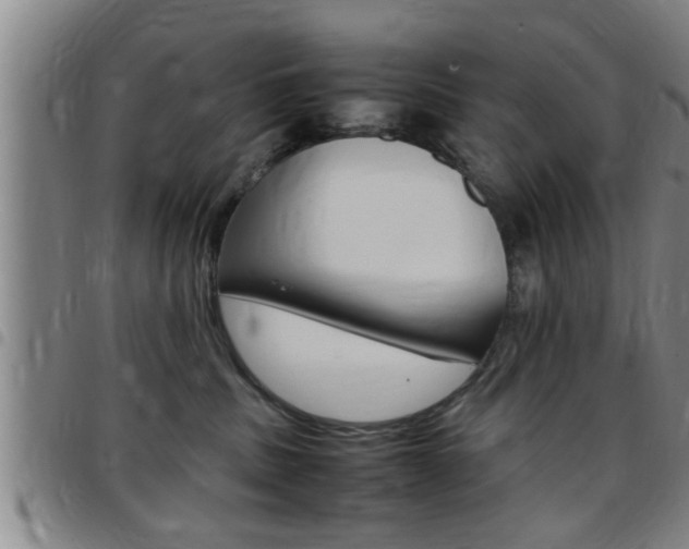 X0000097860379200803140902