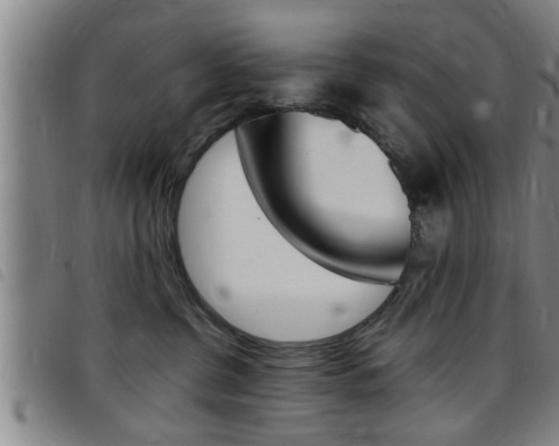 X0000097860380200803140902