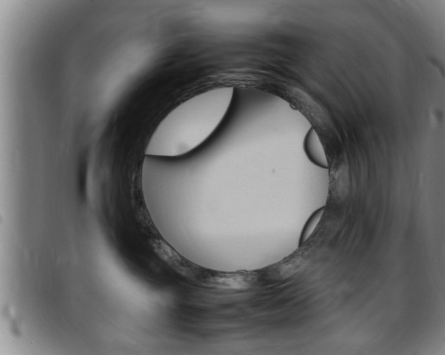 X0000097860381200803140902
