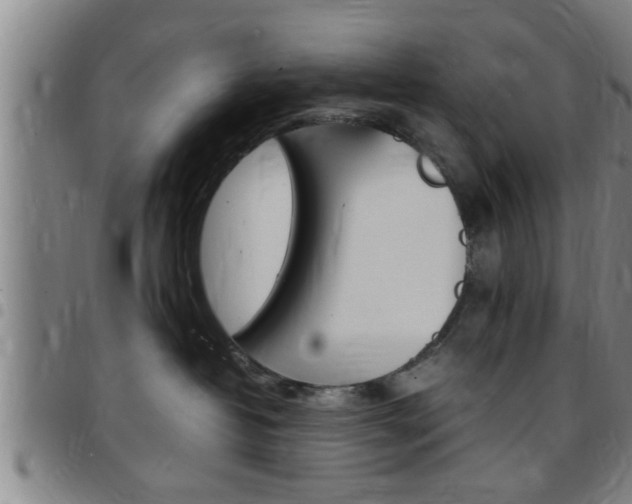 X0000097860382200803140902