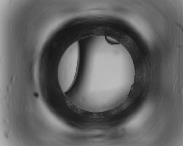 X0000097860383200803140902
