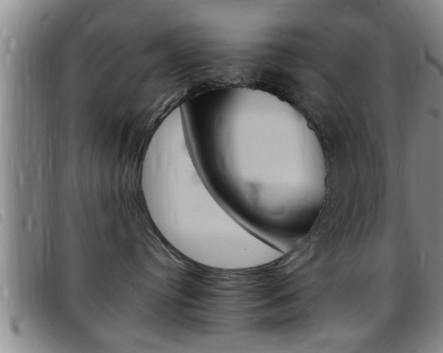 X0000097860384200803140902