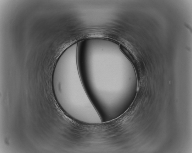 X0000097860385200803140901
