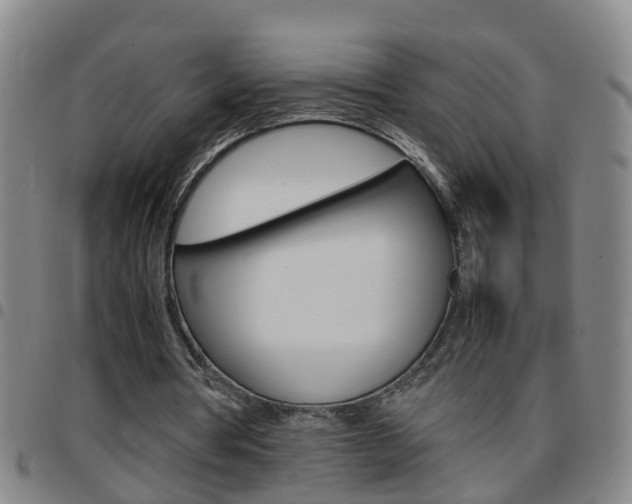 X0000097860386200803140901