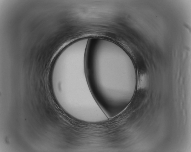 X0000097860387200803140901