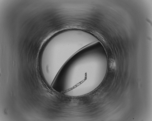 X0000097860388200803140901