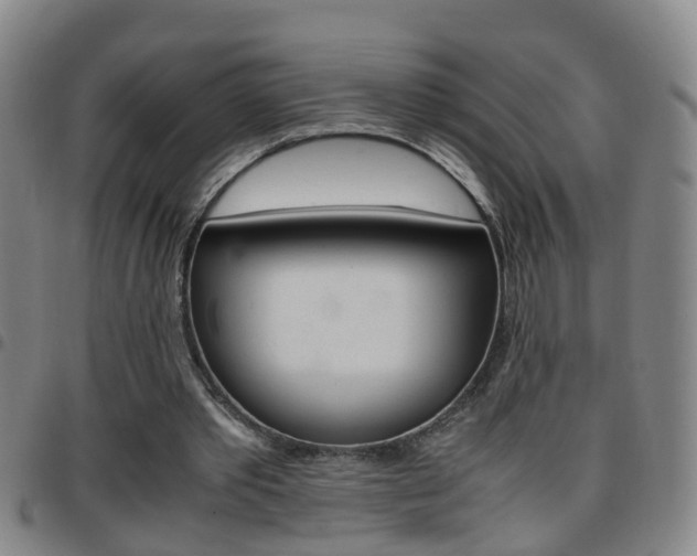 X0000097860389200803140901