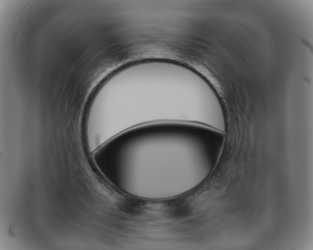 X0000097860391200803140901
