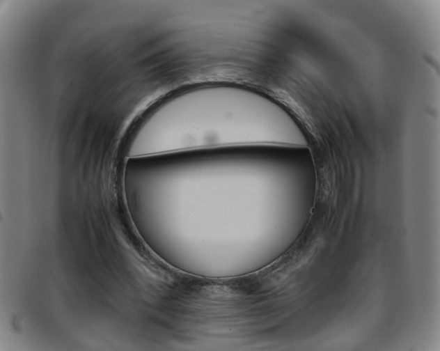 X0000097860392200803140901