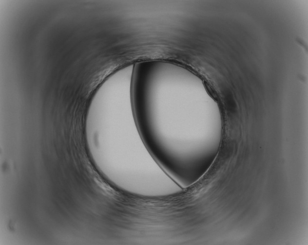 X0000097860393200803140901