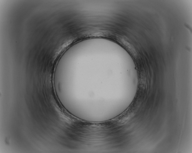 X0000097860394200803140901