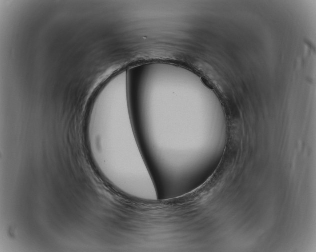 X0000097860395200803140901