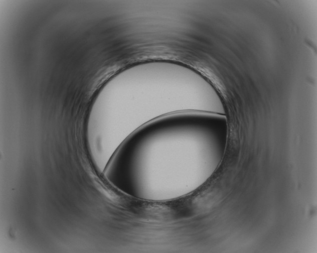 X0000097860397200803140901