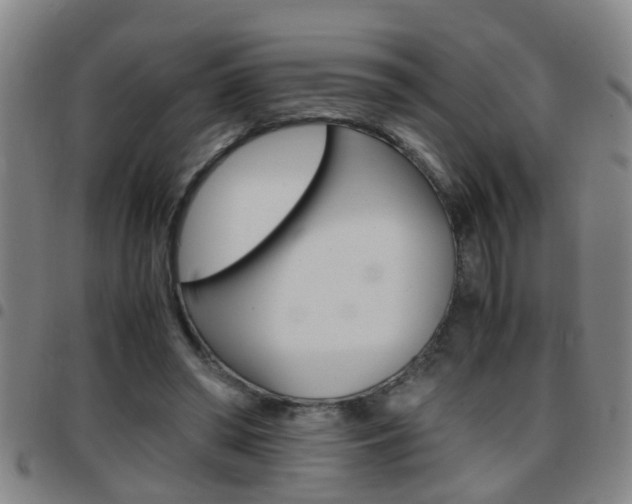 X0000097860398200803140901