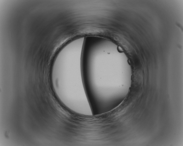 X0000097860399200803140901