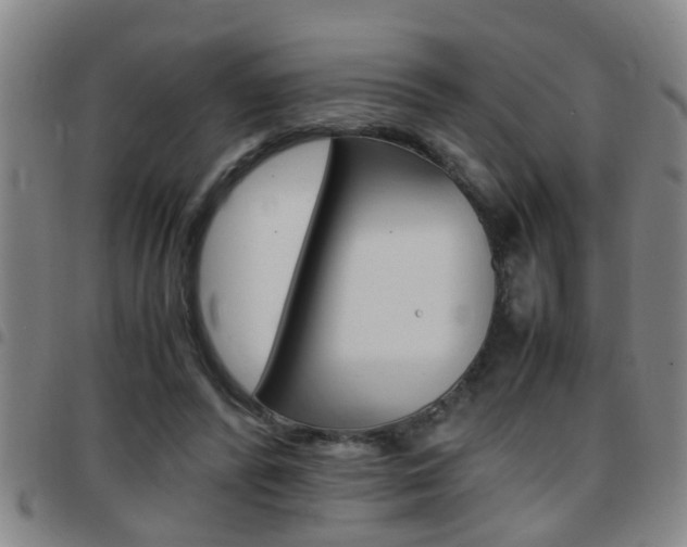 X0000097860400200803140901