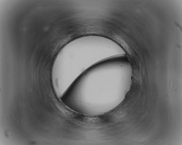 X0000097860401200803140901