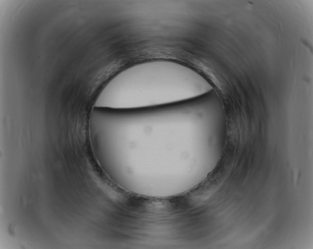 X0000097860402200803140901