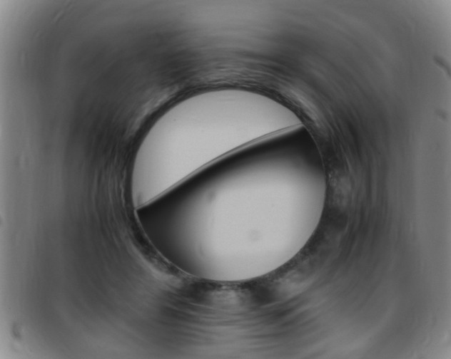 X0000097860404200803140901