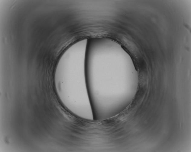 X0000097860405200803140901