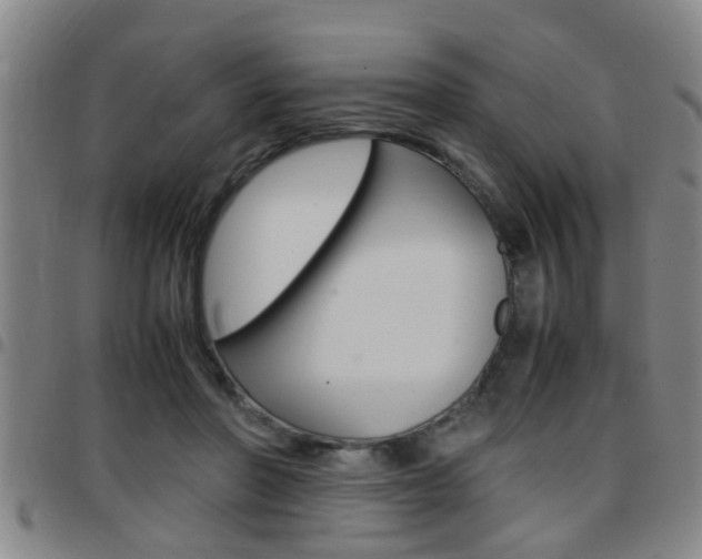 X0000097860406200803140900