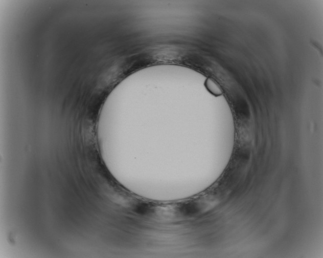 X0000097860411200803140900