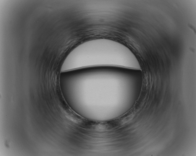 X0000097860412200803140900