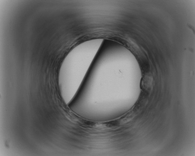 X0000097860413200803140900