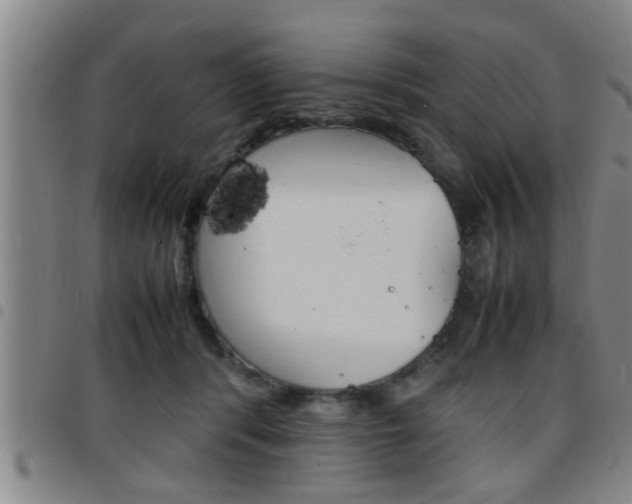 X0000097860416200803140900