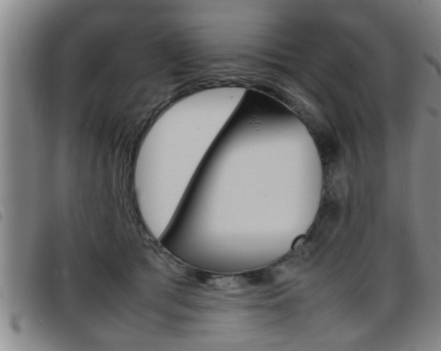 X0000097860417200803140900