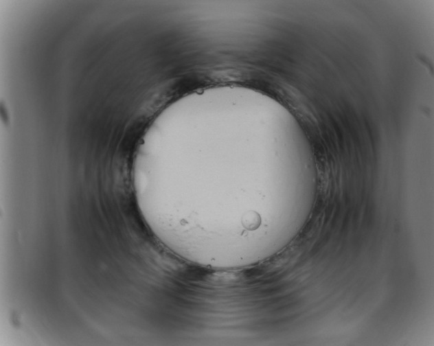 X0000097860418200803140900
