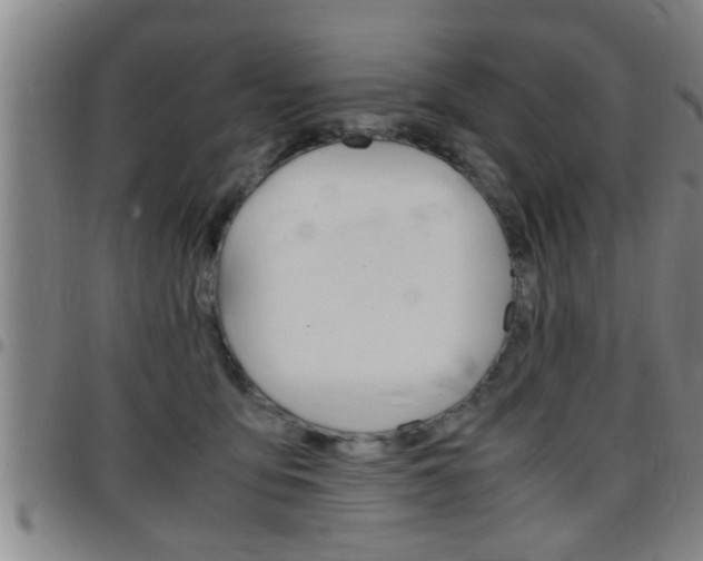 X0000097860419200803140900